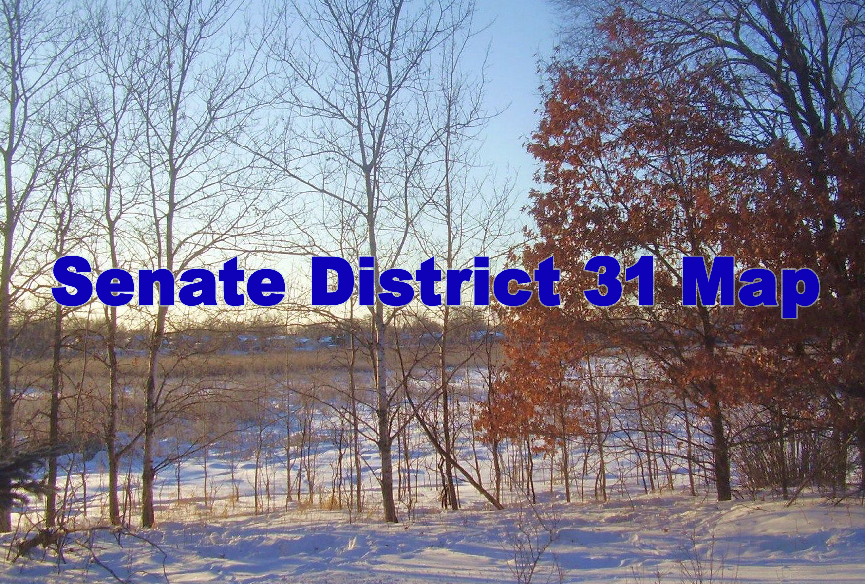 Minnesota DFL Senate District 31