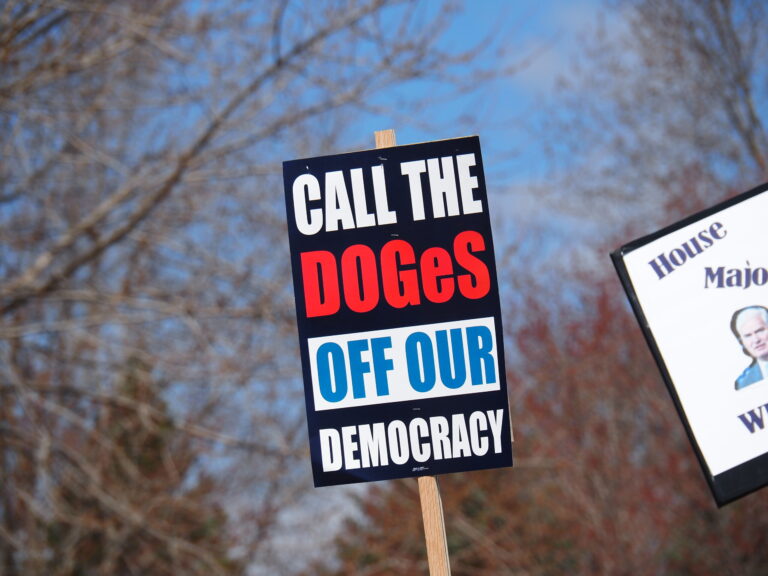Protest Sign: Call the DOGeS off Our Democracy