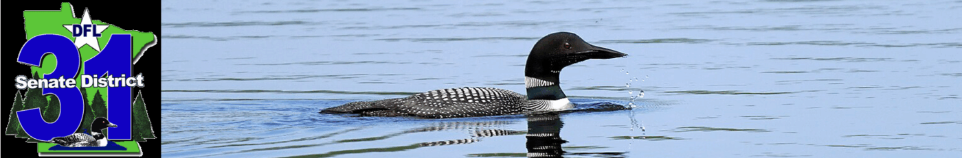 Summer Loon Banner