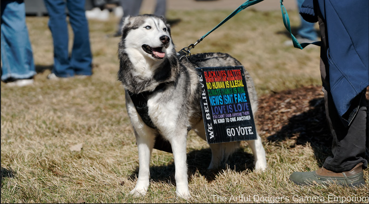 No Kings – March 28. Protest in Mpls. Dog on leash bearing "We Believe..." sign.